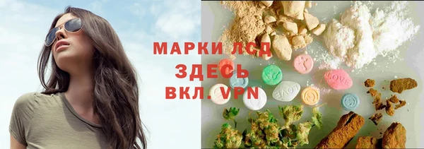 спиды Аркадак