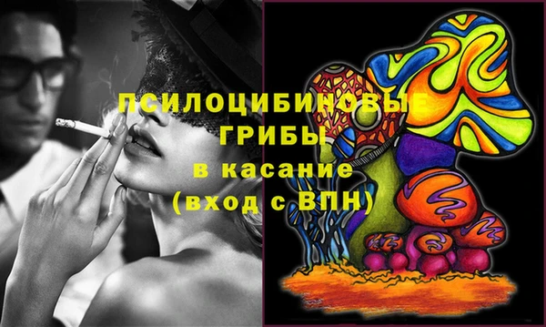 спиды Аркадак